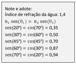 Questão 32 - FUVEST 2016