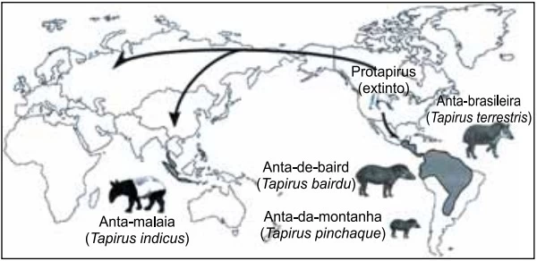 UNESP 2021