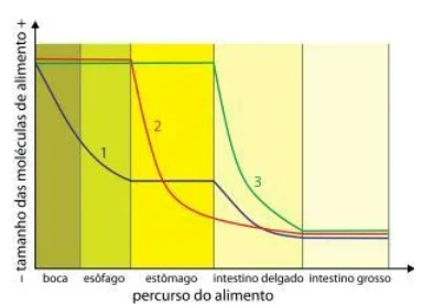VUNESP 2014