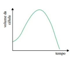 Questão 04 - VUNESP 2012