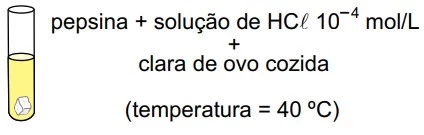 UNESP 2016/2
