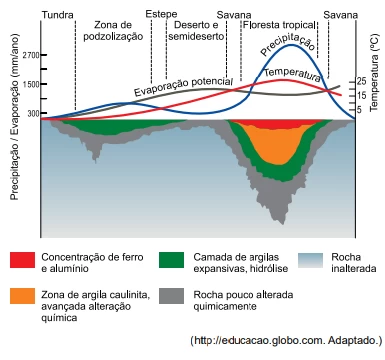 Questão 50 - UNESP 2024