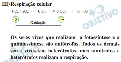 Questão 46 - FUVEST 2018