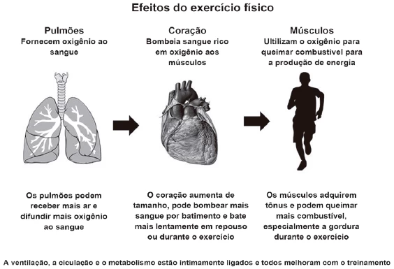 Questão 96 - Enem 2012 - Caderno Azul