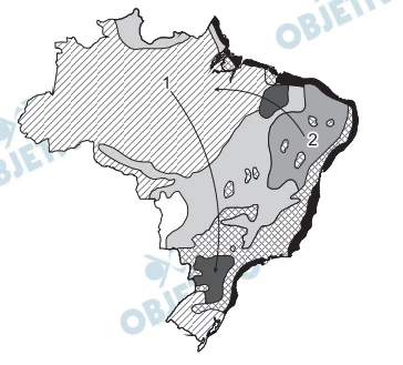 Questão 75 - Enem 2010 - Caderno Azul