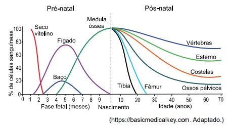 Questão 65 - UNESP 2024