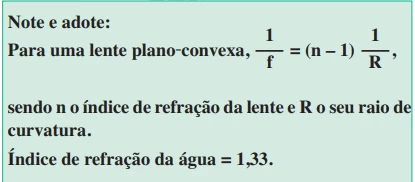 Questão 23 - FUVEST 2019