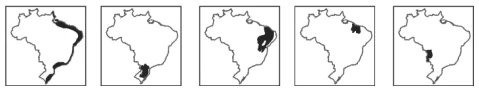 Questão 47 - FUVEST 2014