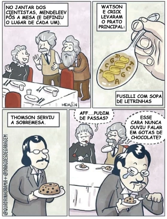 Questão 14 - FUVEST 2022