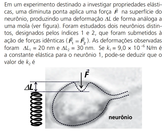 UNICAMP 2024