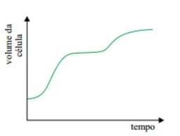 Questão 04 - VUNESP 2012