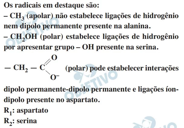 UNESP 2019