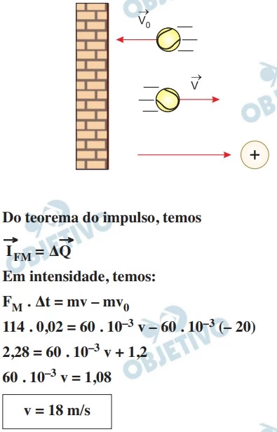 FAMERP 2015