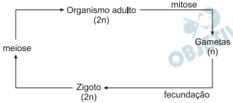 Questão 21 - Enem 2009 - Caderno Azul