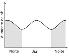 Questão 21 - FUVEST 2018