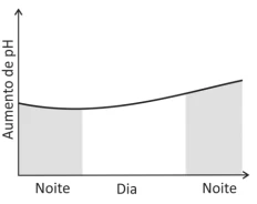 Questão 21 - FUVEST 2018