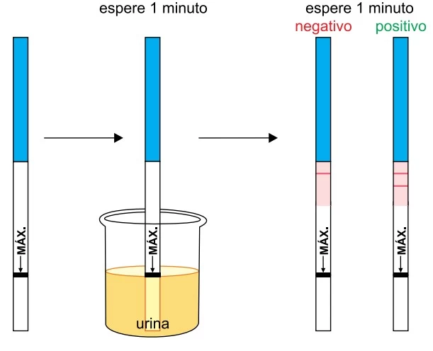 UNESP 2018