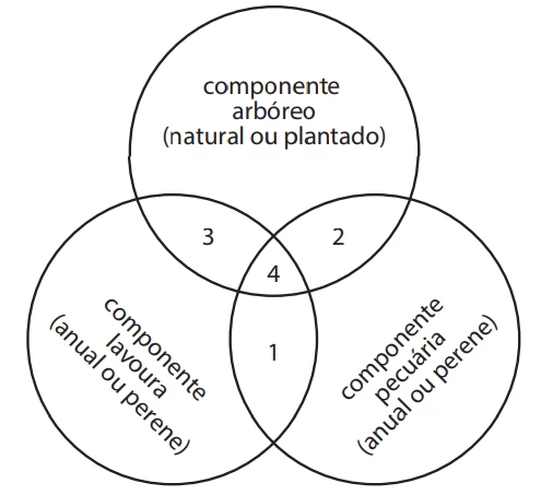 Questão 15 - FATEC 2020 - Caderno Azul