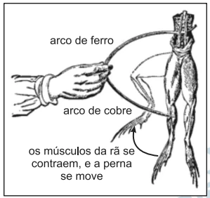 Questão 33 - FUVEST 2012