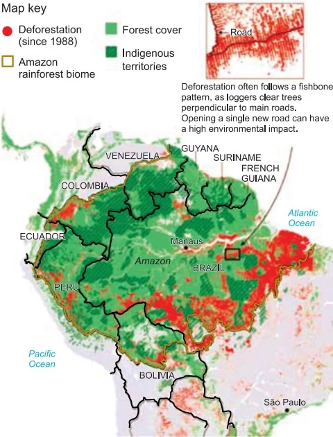 UNESP 2021