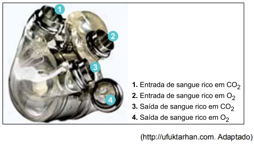 Questão 45 - FGV 2015