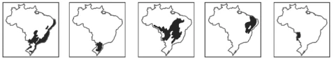 Questão 47 - FUVEST 2014