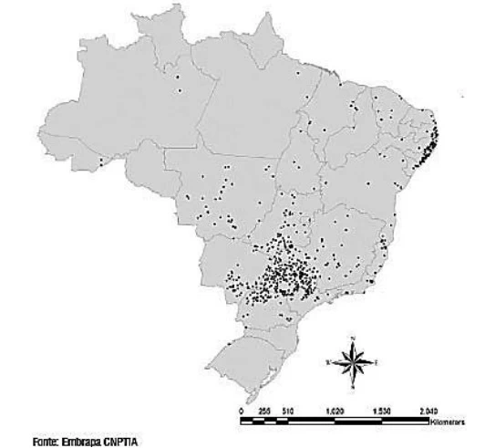 UNICAMP 2018