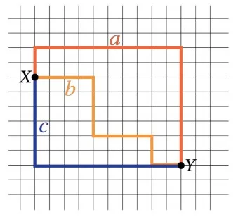 Questão 02 - FUVEST 2021 - 1º Fase