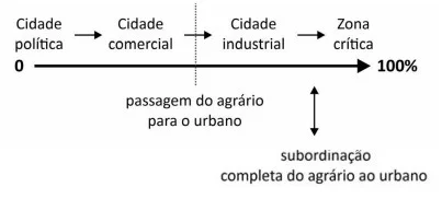 Questão 19 - FUVEST 2021 - 1º Fase