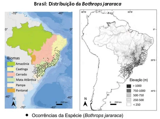 Questão 23- FUVEST 2021 - 1º Fase
