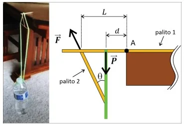 Questão 46 - FUVEST 2021 - 1º Fase