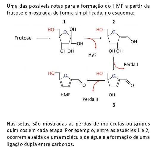 Questão 83/84 -parte 2- FUVEST 2021 - 1º Fase